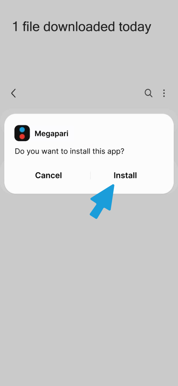 Install downloaded Megapari app.
