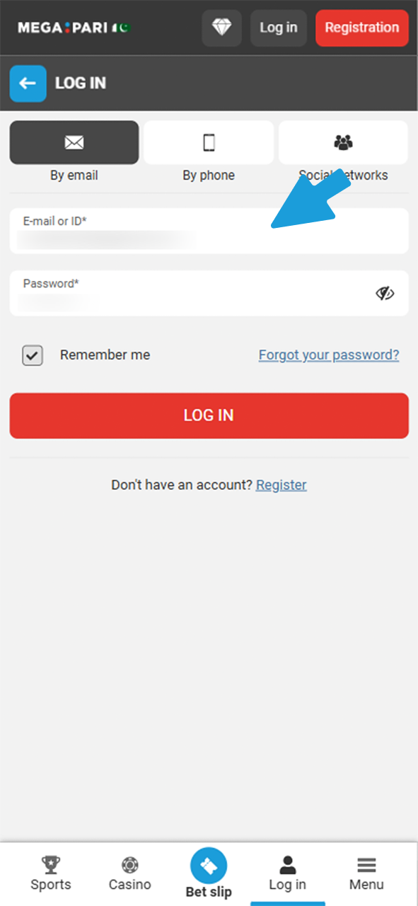 Fill up the form with your Megapari account details.