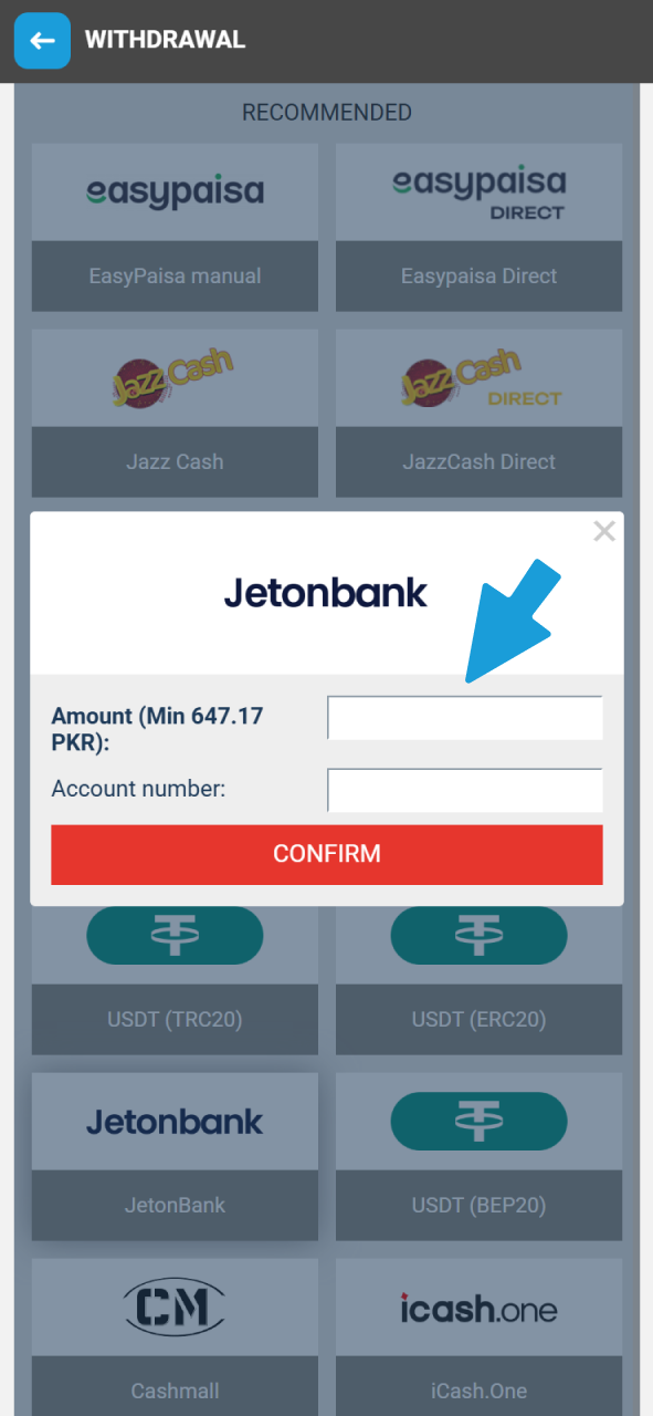 Input your wallet info to Withdraw your MegaPari balance securely.